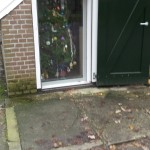 151212 kerstboom